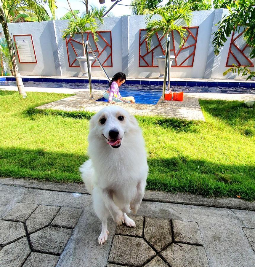 Sapphire Boutique Resort パングラオ エクステリア 写真